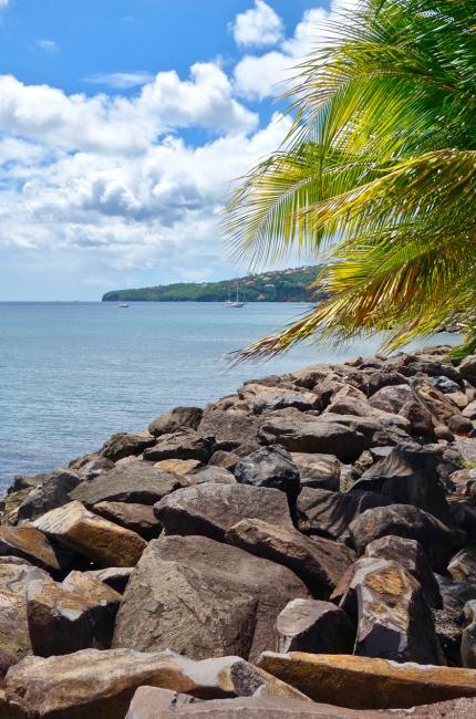 Les Hauts du Cap - Martinique - Beach