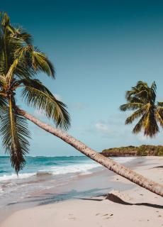 Les Hauts du Cap - Martinique - Plage