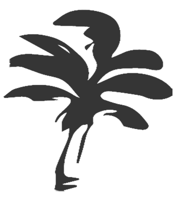 Palm